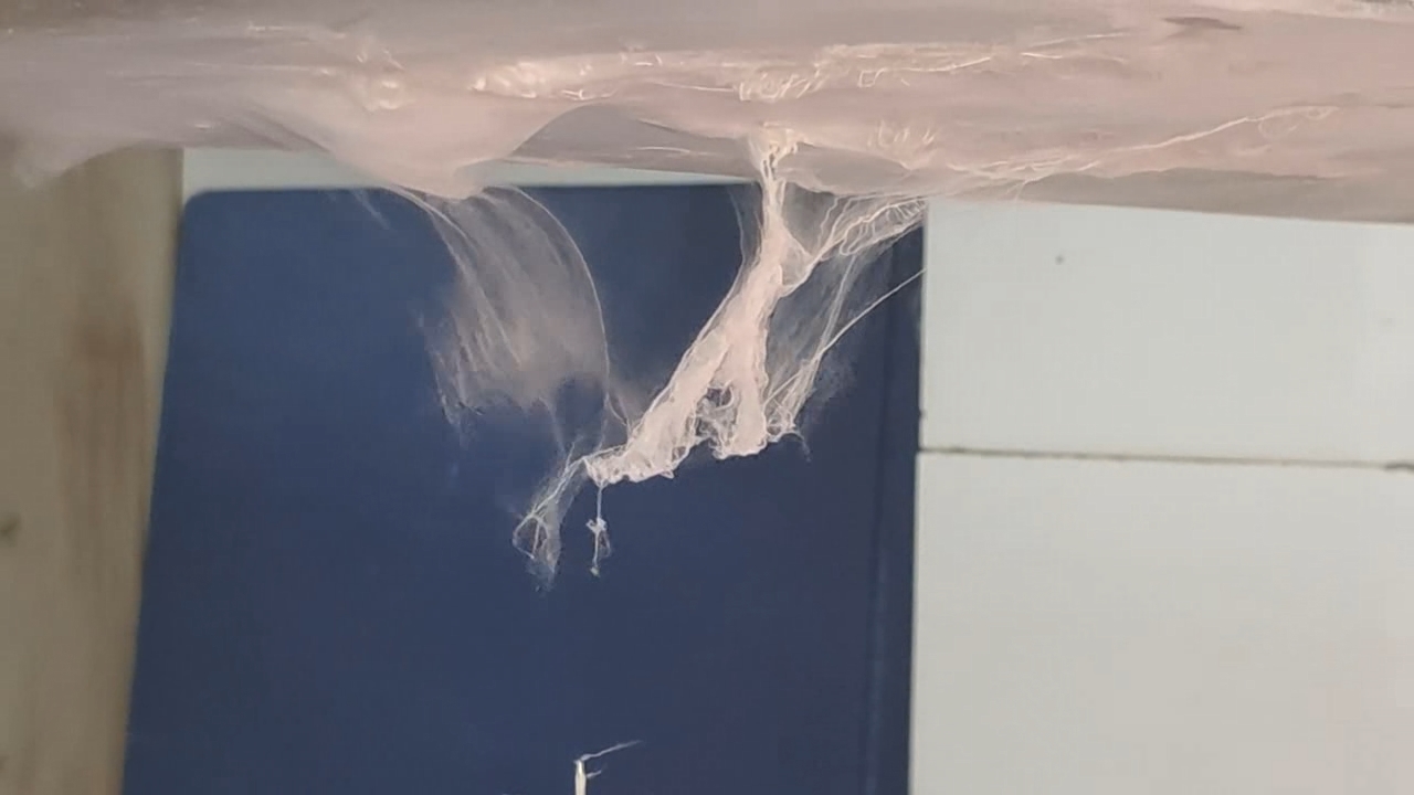 Electrospinning: Solutions of Polystyrene and Polyvinylidene Difluoride in Dimethylformamide